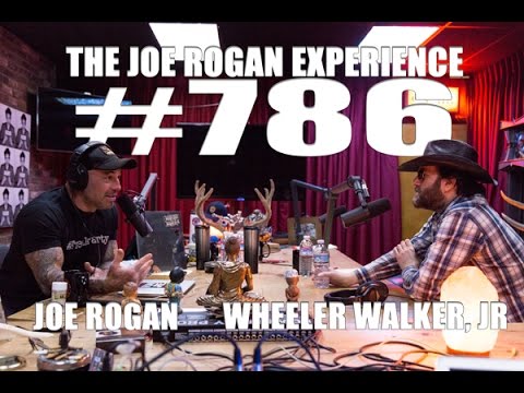 Joe Rogan Experience #786 - Wheeler Walker, Jr.
