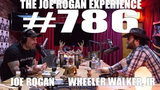 Joe Rogan Experience #786 - Wheeler Walker, Jr.