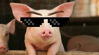 BEST MODS IN THE UNIVERSE!