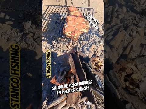PESCA VARIADA EN PIEDRAS BLANCAS Y COMIDA #stancofishing #pesca #cocina #naturaleza
