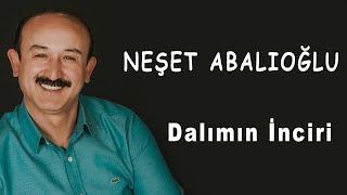 Neşet Abalıoğlu Dalımın İnciri