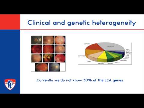 Research Symposium de Recherche -  Cécité d'origine génétique / Genetic blindness
