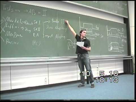 Physiologietutorium 5 - Herz II + Sinnesphysiologie