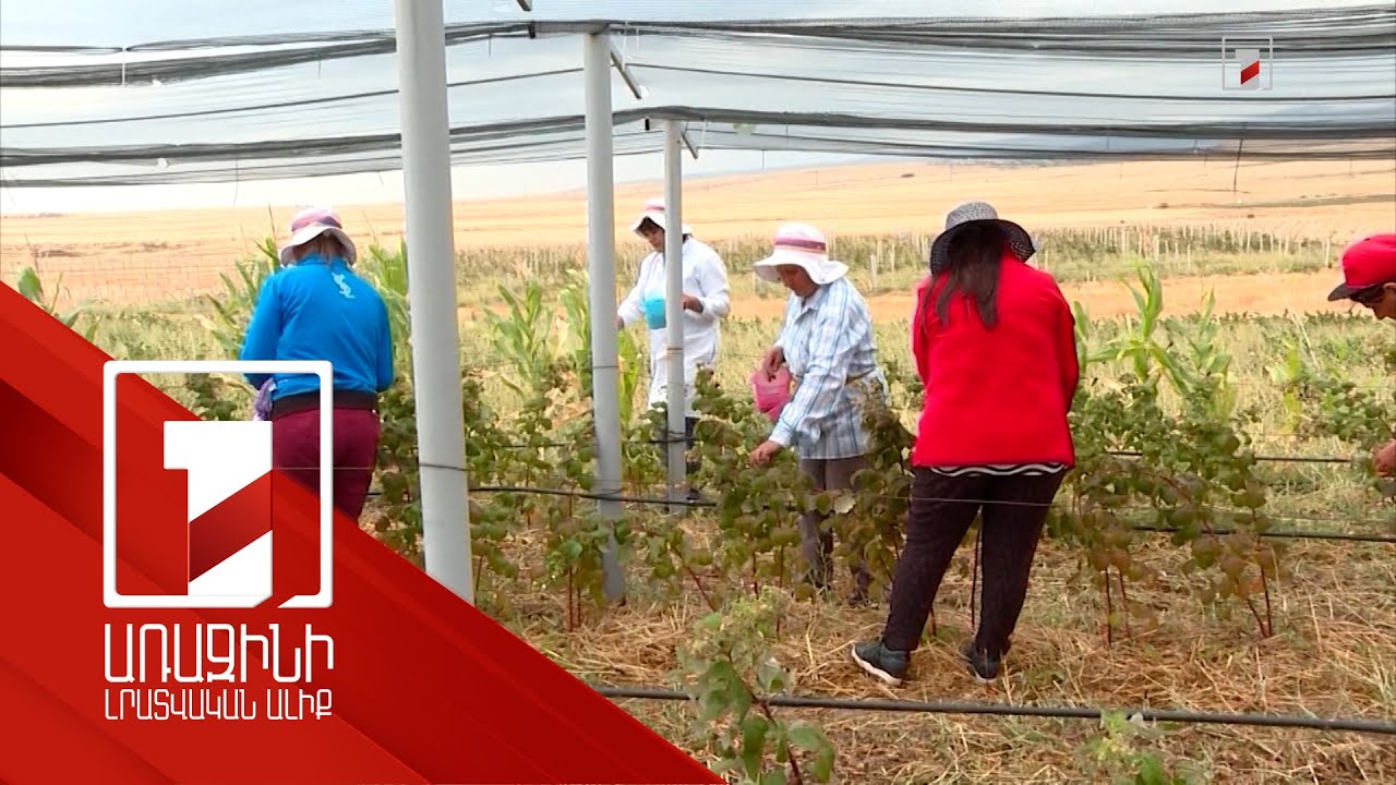 Զբաղվածության 2 նոր ծրագիր Կոտայքի և Սյունիքի մարզերում. պետությունը կփոխհատուցի գործատուի ծախսերը