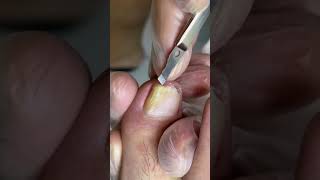 ?????#shorts #viral #subscribe #youtubeshorts #trending