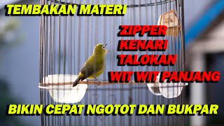 Download lagu PANCINGAN PLECI NEMBAK MATERI ZIPPER , KENARI , WIT WIT PANJANG , TALOKAN BIKIN CEPAT BUKPAR mp3