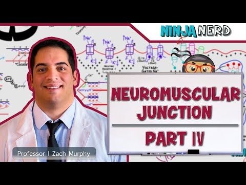 Musculoskeletal System | Neuromuscular Junction Pathologies: Part 4