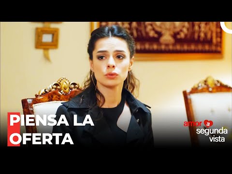 Oferta De Trabajo Para Zeynep - Amor A Segunda Vista Capítulo 20