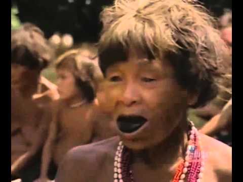 Ray Mears' World Of Survival S02E03 - Headwaters Of The Orinoco