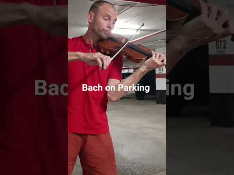 LARGO. Violin Sonata No.3 in C major, BWV 1005 (Bach.J.S)