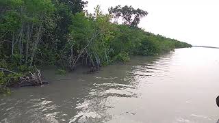preview picture of video 'Beautiful country Bangladesh's tourist spot & places sundarban, time lapse'