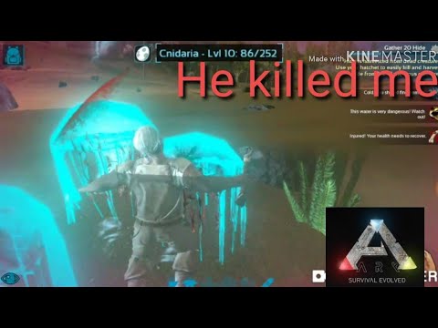 ARK survival evolved.part# 2 Cnidaria kill me, completed Take a nap.