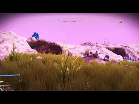 Exobiology Expedition on Ifunaiwa Ottori, Split-Biome Planet