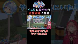 兎田ぺこらと猫又おかゆの密会現場に遭遇する神視点の鷹嶺ルイ【ホロライブ切り抜き】#shorts  #vtuber