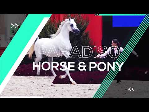 European Championship 2019 - Promo