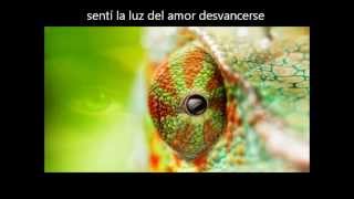 Marillion - She Chameleon (Traducción al español)