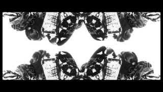 Driftwood. ft. Coco Enriquez - Lacklustre