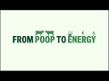 How Cow Poop Is Converted To Energy