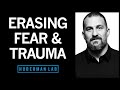 Erasing Fears & Traumas Based on the Modern Neuroscience of Fear