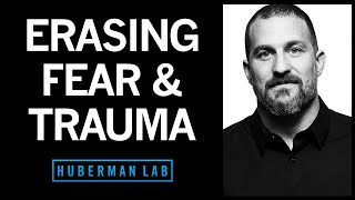 Erasing Fears & Traumas Based on the Modern Neuroscience of Fear | Huberman Lab Podcast #49
