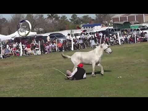 1º Festival en Villa Clara   Dto  Villaguay   Categ  Clina   Coord  Augusto Ojeda   Agosto 2025