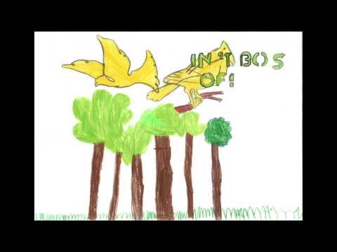 Kijk eens naar de vogels