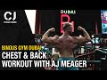 INSANE Chest & Back Session | Binous Gym Dubai