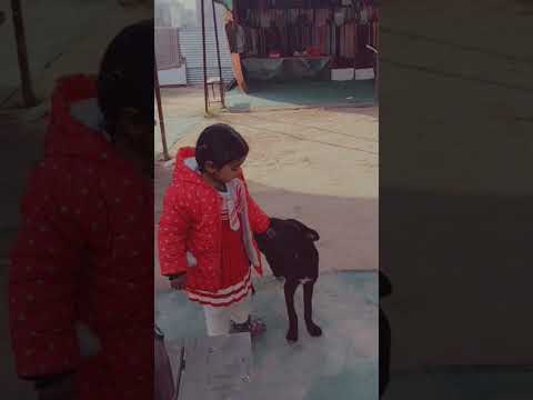 #kharar #satindersartaaj #somgs #dog