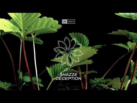 SHAZZE - Deception