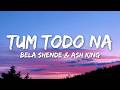 Tum Todo Na Female Version Lyrics Bela Shende Ash King Tum Bin Main Dekho To