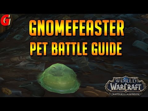 Gnomefeaster Pet Battle Guide - BFA