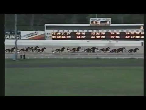 1990 Auckland Trotting Cup - The Bru Czar