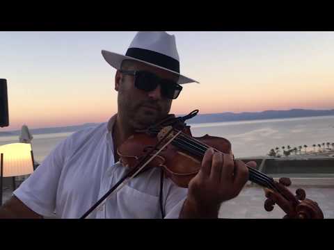 Q Violins - Secret Garden
