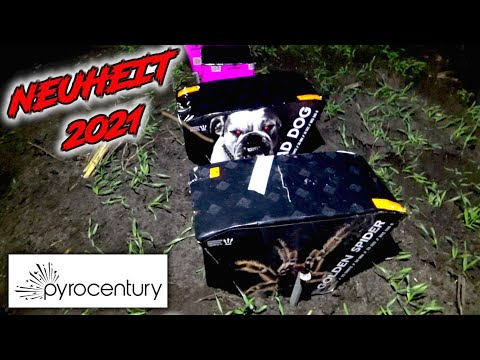 PYROCENTURY MAD DOG | GOLDEN SPIDER 💥 TOP NEUHEIT 2021 🔥 GIGANTISCHE AUSBREITUNG 😍