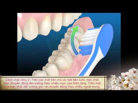 Cách vệ sinh răng miệng - chải răng đúng cách