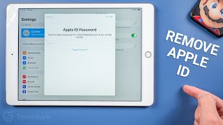 How to Remove Apple ID from iPad without Password  (2 Methods)
