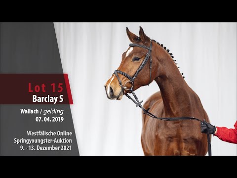 Online Springyoungster-Auktion Lot 15 Barclay S Wallach v. Bellini Royal -   Abke