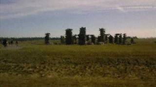 Stonehenge + Avebury Trip - Wiltshire, England