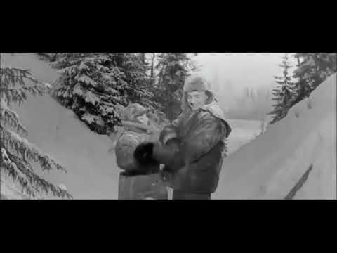 Люсьена Овчинникова и Николай Погодин - Старый Клен (1961) (Mix)