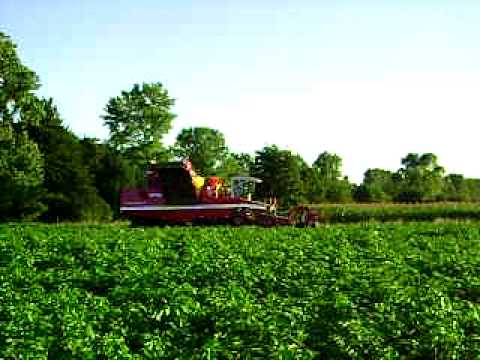 Van Bruwaene R - Egem