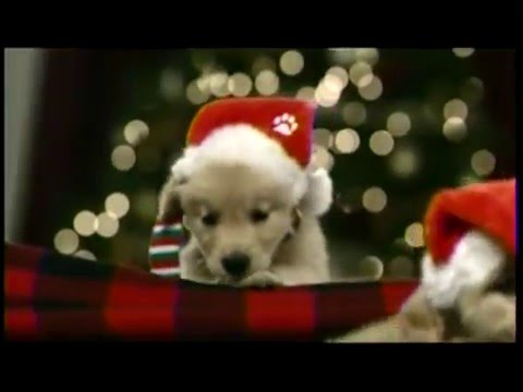 "Sing Along with Brad" Christmas Program - 12/21/15