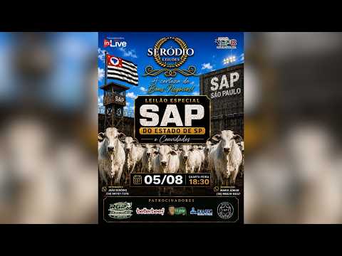 LEILÃO ESPECIAL SAP DO ESTADO DE SP E CONVIDADOS | SERÓDIO LEILÕES AO VIVO | 05/08