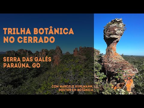 Trilha Botânica - Serra das Galés, Paraúna, GO