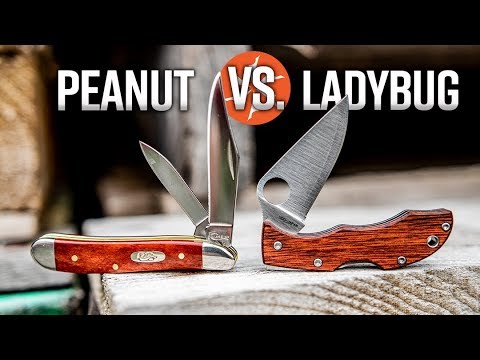 Spyderco Ladybug Vs. Case Peanut: Micro Pocket Knife Melee at KnifeCenter.com