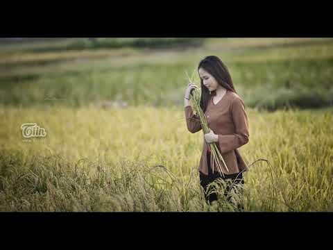 Thương cúc vàng - Đăng Minh