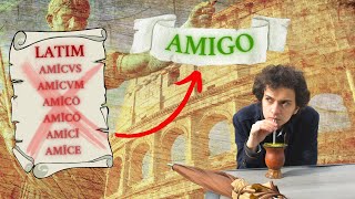 Why do the ROMANCE Languages Don't Have CASES as Latin Did? | Alomorfe