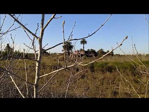 Casa Vega Helguera / Barros Blancos / junio 2022/ Canelones