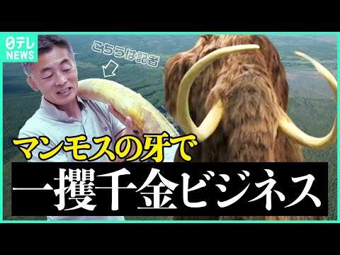 シベリアの永久凍土:巨大な穴は今後も成長し続けるだろうと研究者らは語る