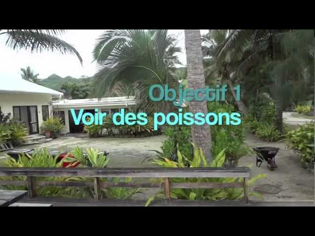 Matinée à Rarotonga, Îles Cook : Baignade, Rencontre et Excursion au Lagon.