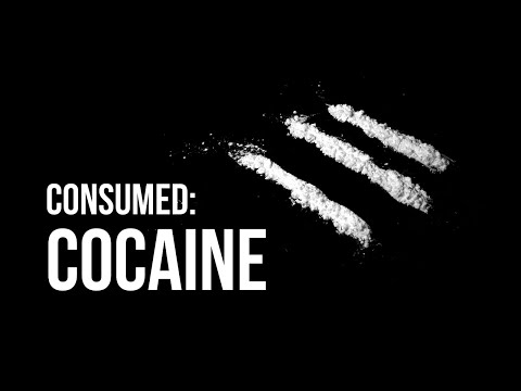 All coked up: The global environmental impacts of cocaine